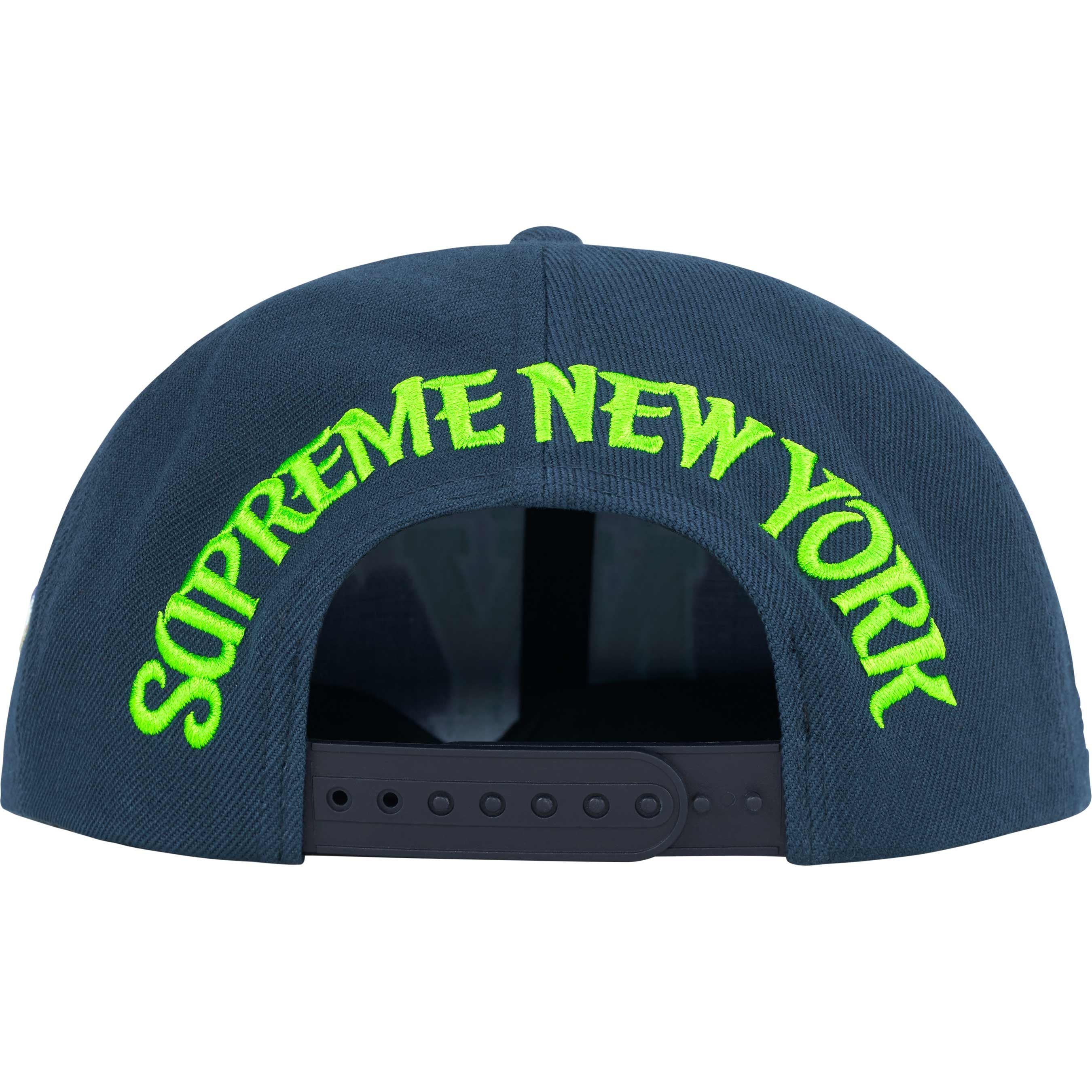 New York 6-Panel view 11